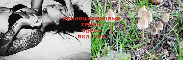МДМА Арсеньев